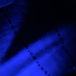 Meet your Posher, Sylvester